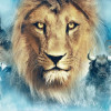 chronicles of narnia 3 movie release date