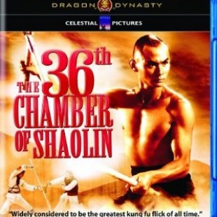 The 36th Chamber Of Shaolin